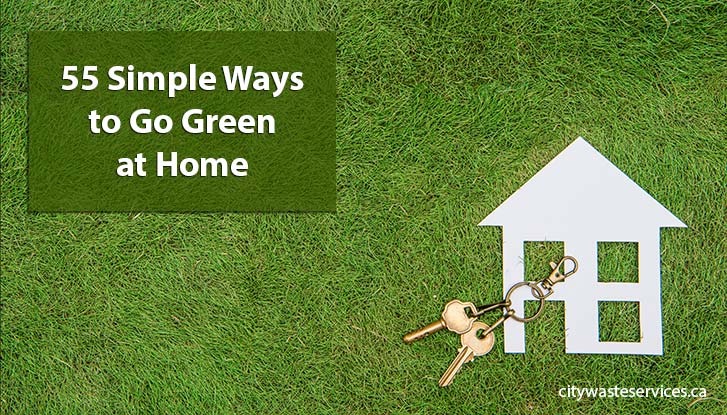 55 Simple Ways to Go Green at Home